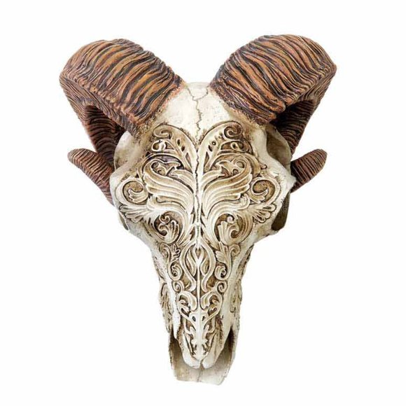 DISCONTINUED!!!  Alchemy Gothic Rams Scrimshaw Skull Statue Decor New in Box - Picture 3 of 3